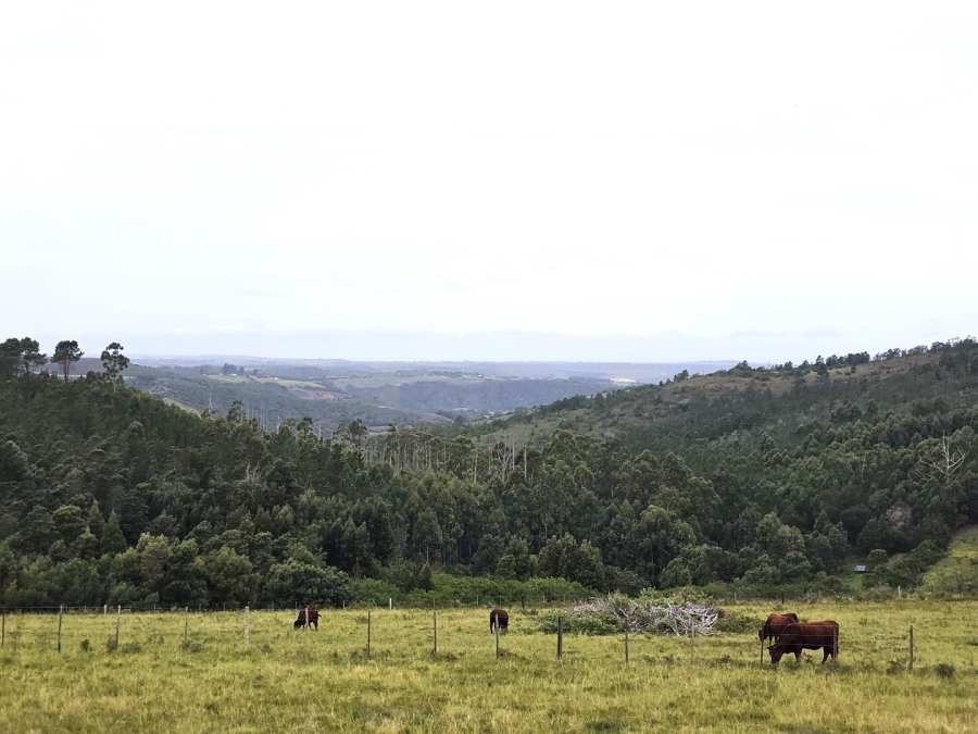 Commercial Property for Sale in Mossel Bay Rural Western Cape